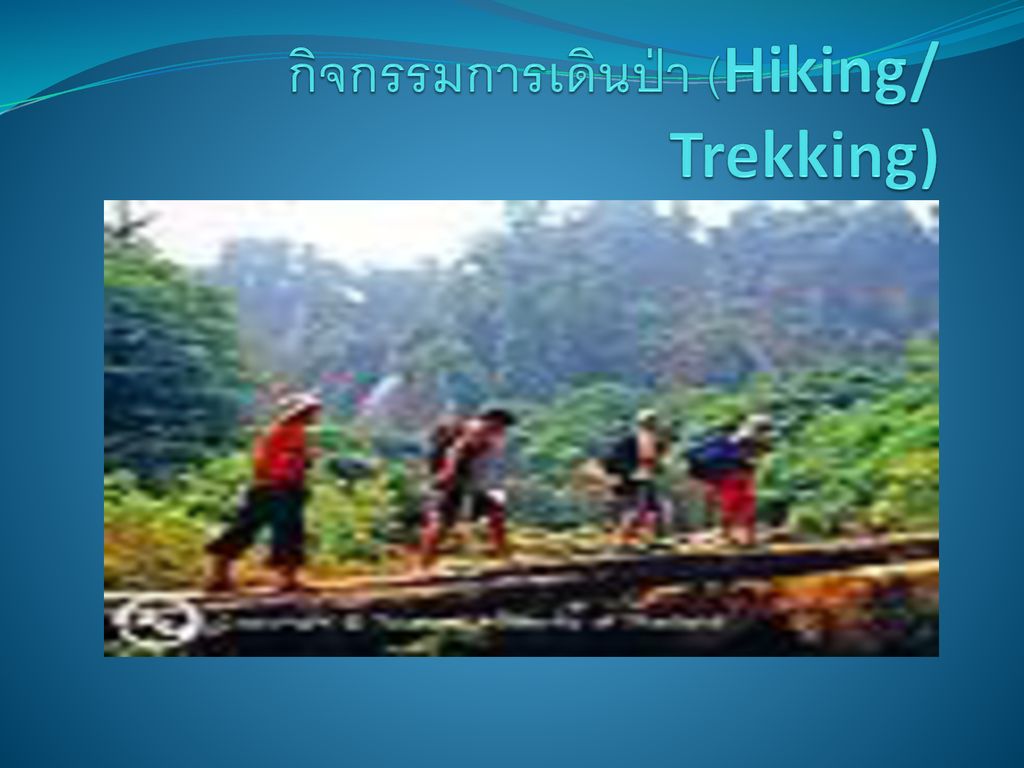 กิจกรรมการเดินป่า (Hiking/ Trekking)