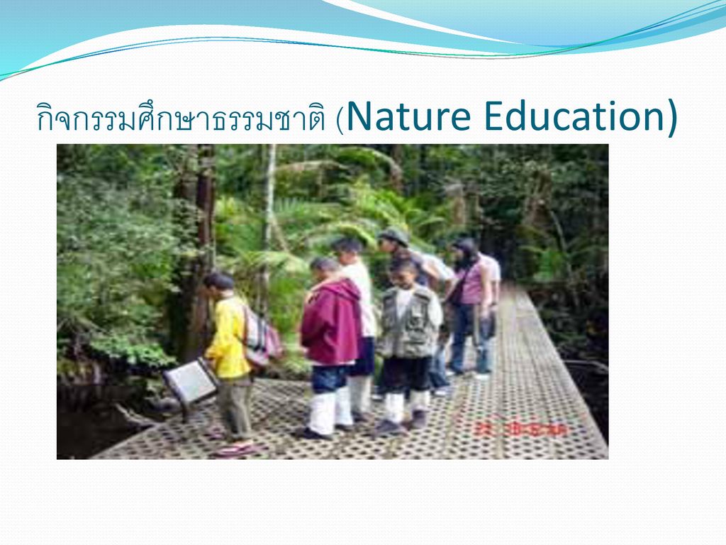 กิจกรรมศึกษาธรรมชาติ (Nature Education)