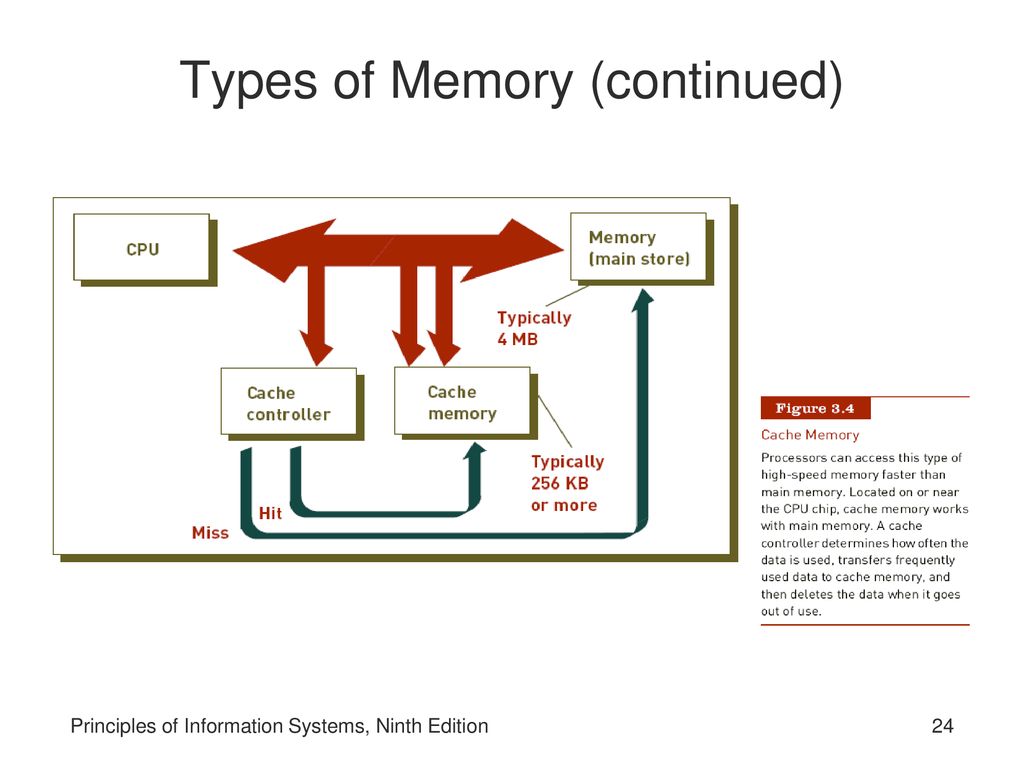 the cpu and memory are located on the