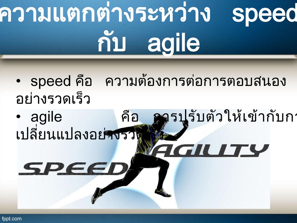 ความแตกต่างระหว่าง speed กับ agile