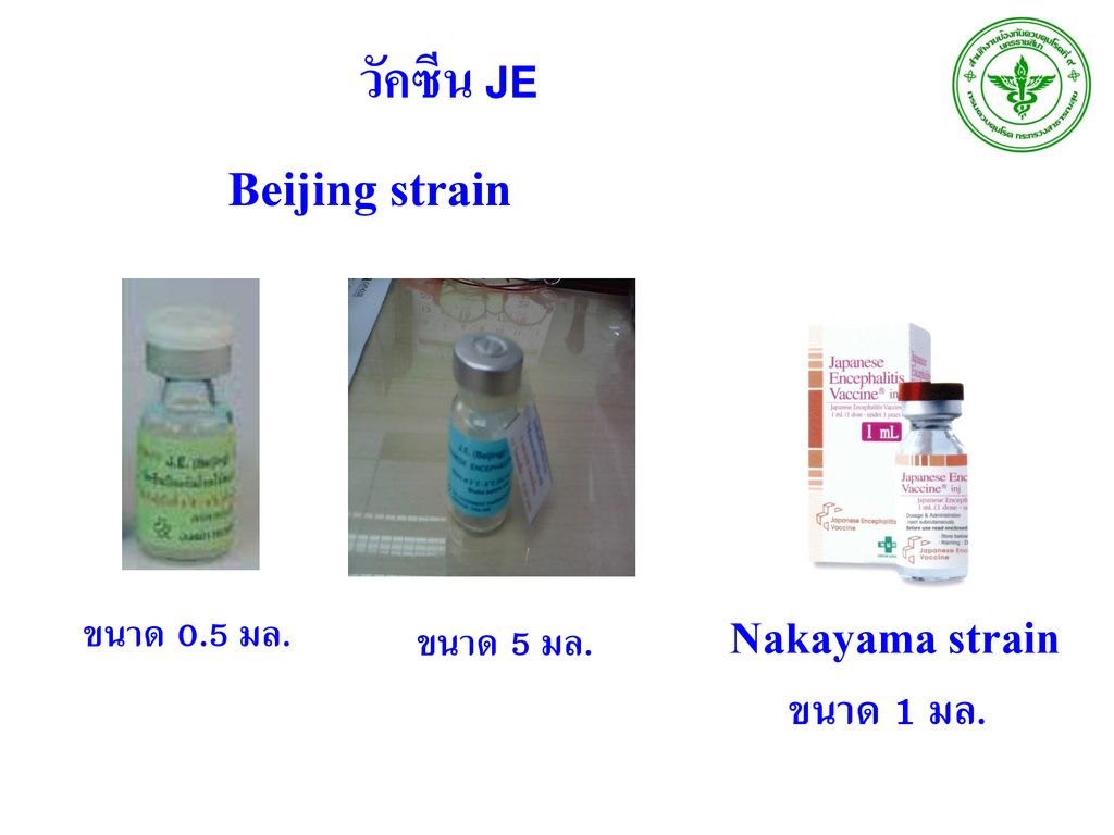 Beijing strain วัคซีน JE Nakayama strain ขนาด 1 มล. ขนาด 0.5 มล.