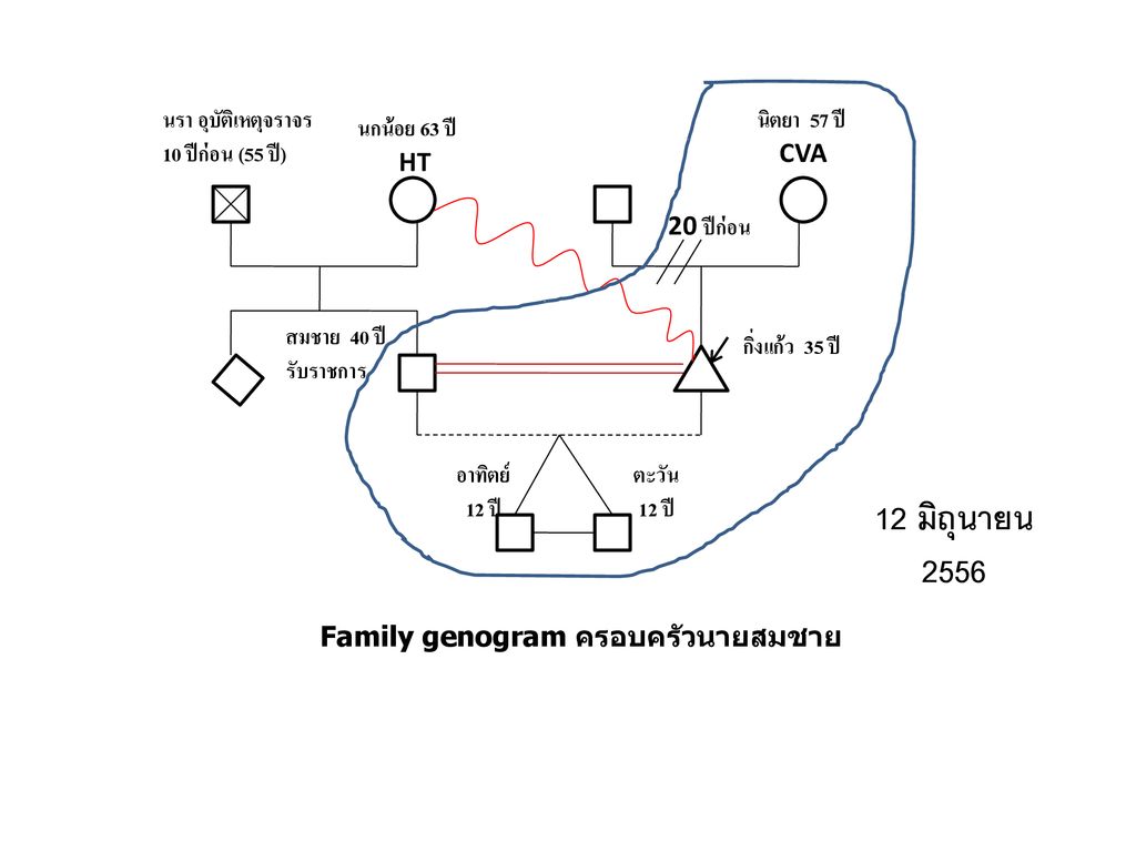 Family genogram ครอบครัวนายสมชาย