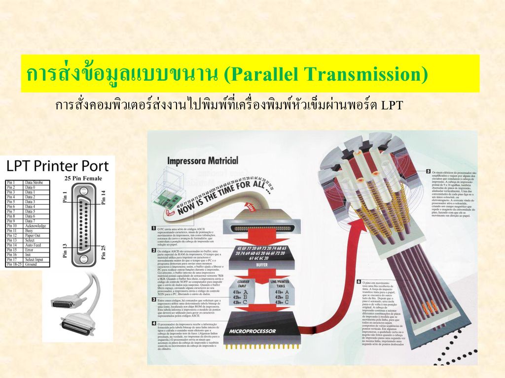 การส่งข้อมูลแบบขนาน (Parallel Transmission)