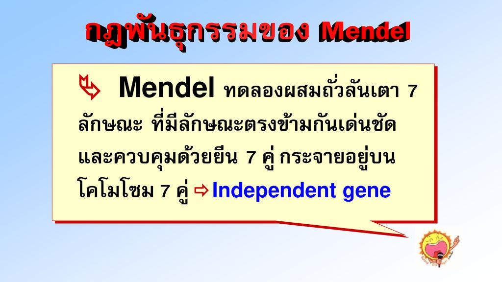 กฎพันธุกรรมของ Mendel