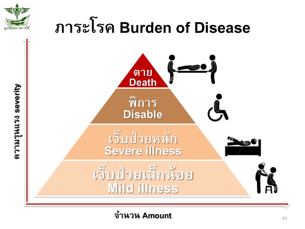 ภาระโรค Burden of Disease