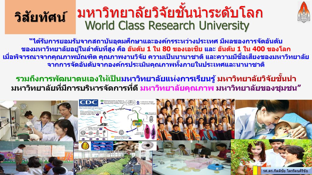 มหาวิทยาลัยวิจัยชั้นนำระดับโลก