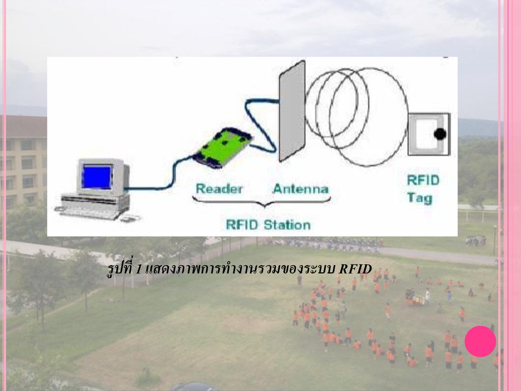 รูปที่ 1 แสดงภาพการทำงานรวมของระบบ RFID