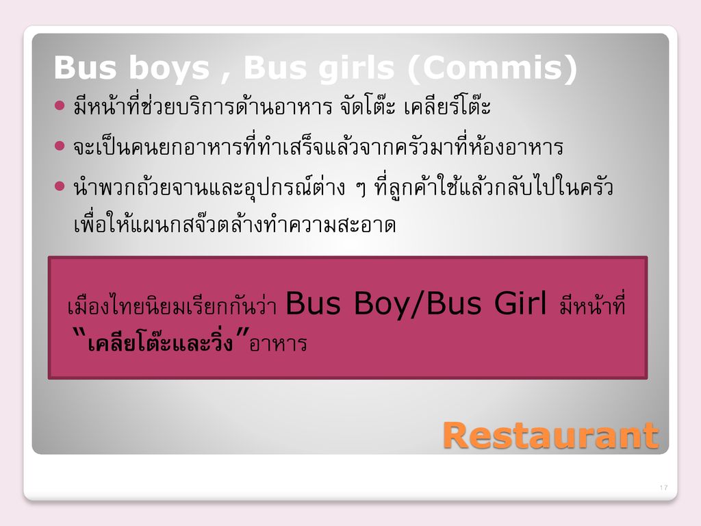 Restaurant Bus boys , Bus girls (Commis)