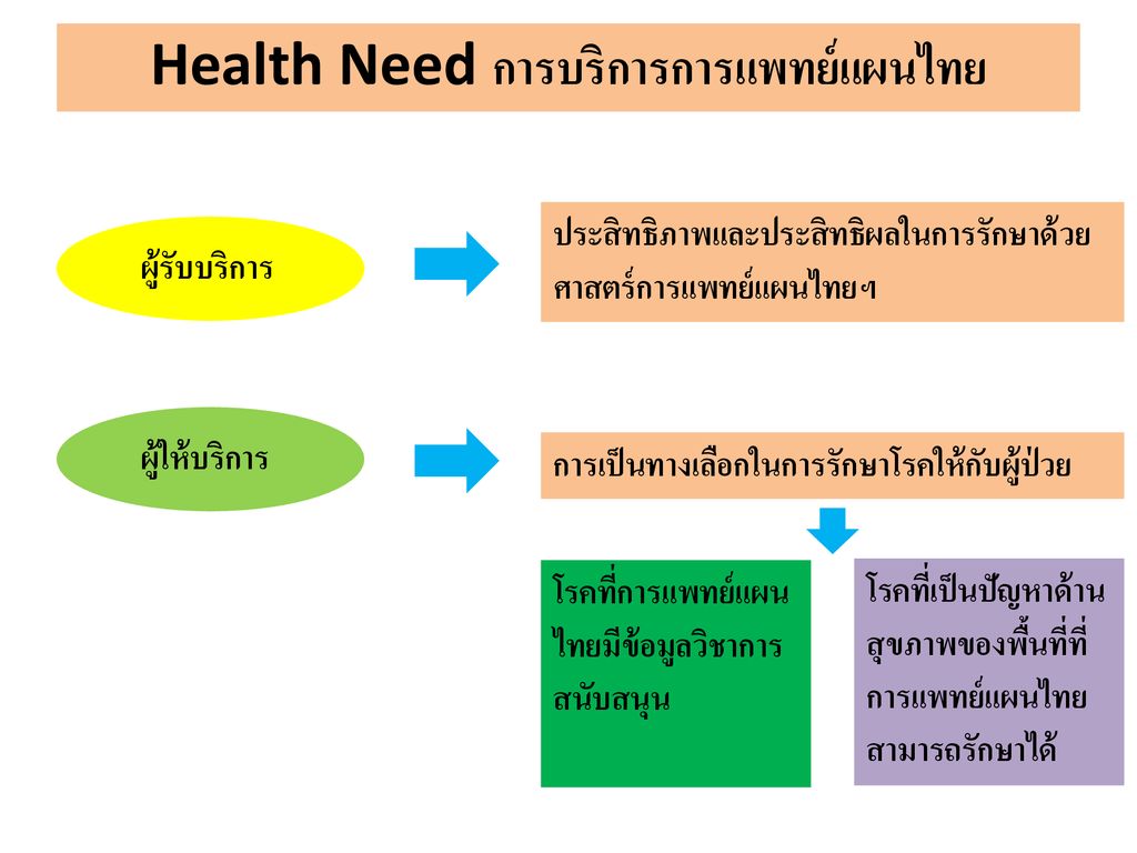 Health Need การบริการการแพทย์แผนไทย