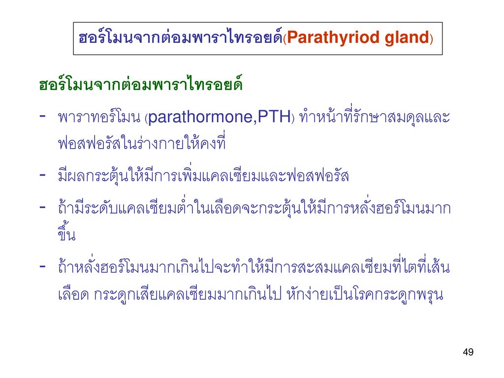 ฮอร์โมนจากต่อมพาราไทรอยด์(Parathyriod gland)
