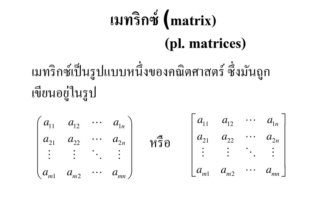 เมทริกซ์ (matrix) (pl. matrices)