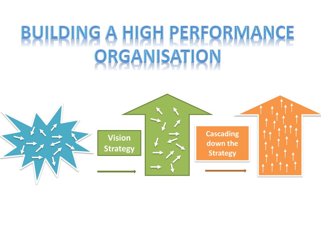 Building a High Performance Organisation