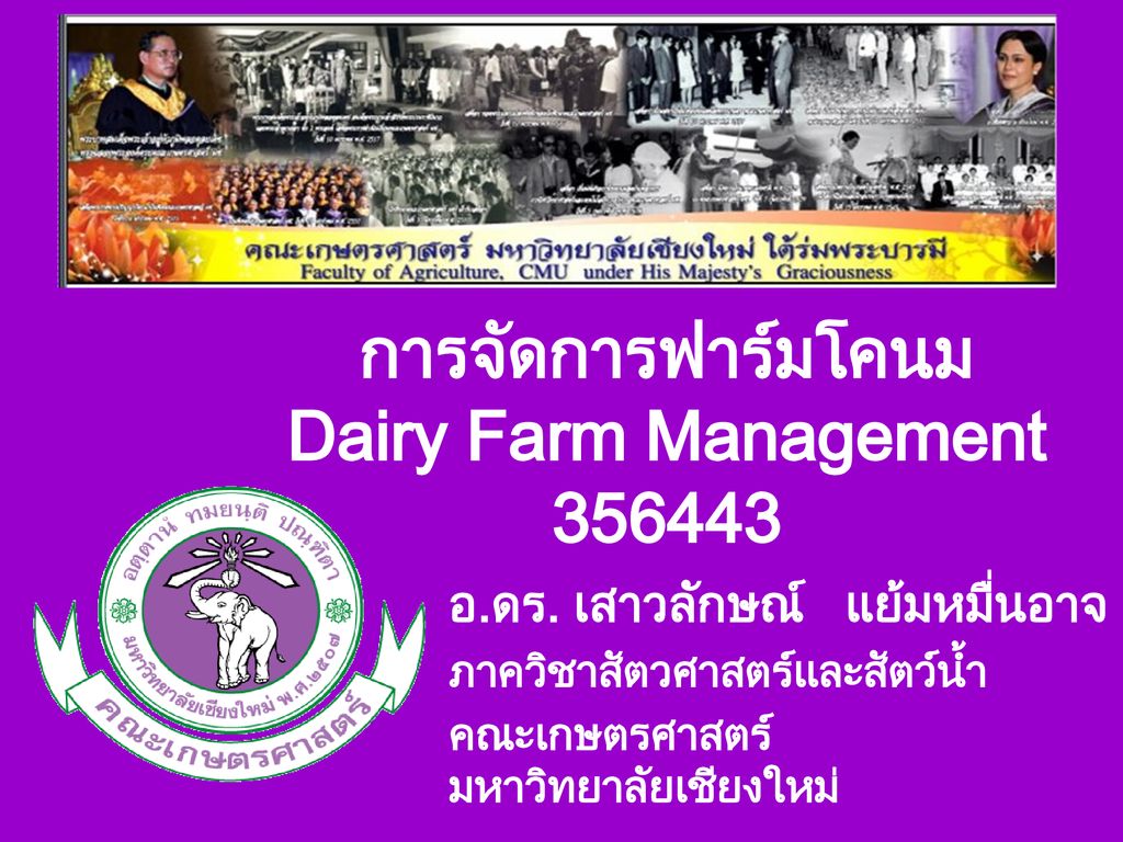 การจัดการฟาร์มโคนม Dairy Farm Management ppt ดาวน์โหลด