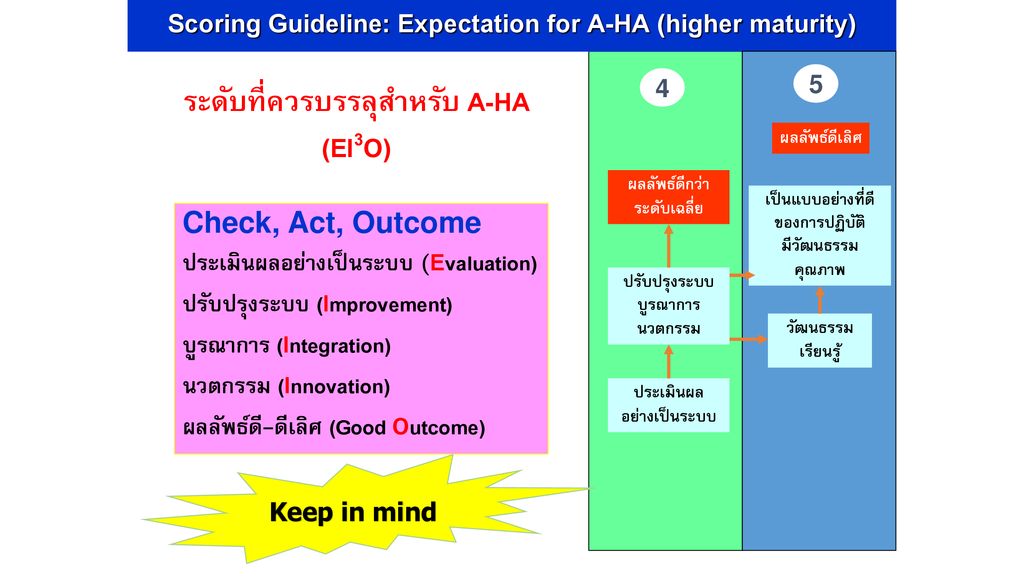 Scoring Guideline: Expectation for A-HA (higher maturity)