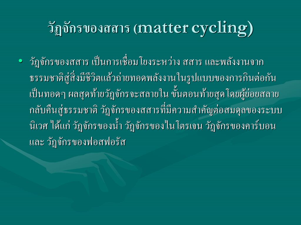วัฏจักรของสสาร (matter cycling)