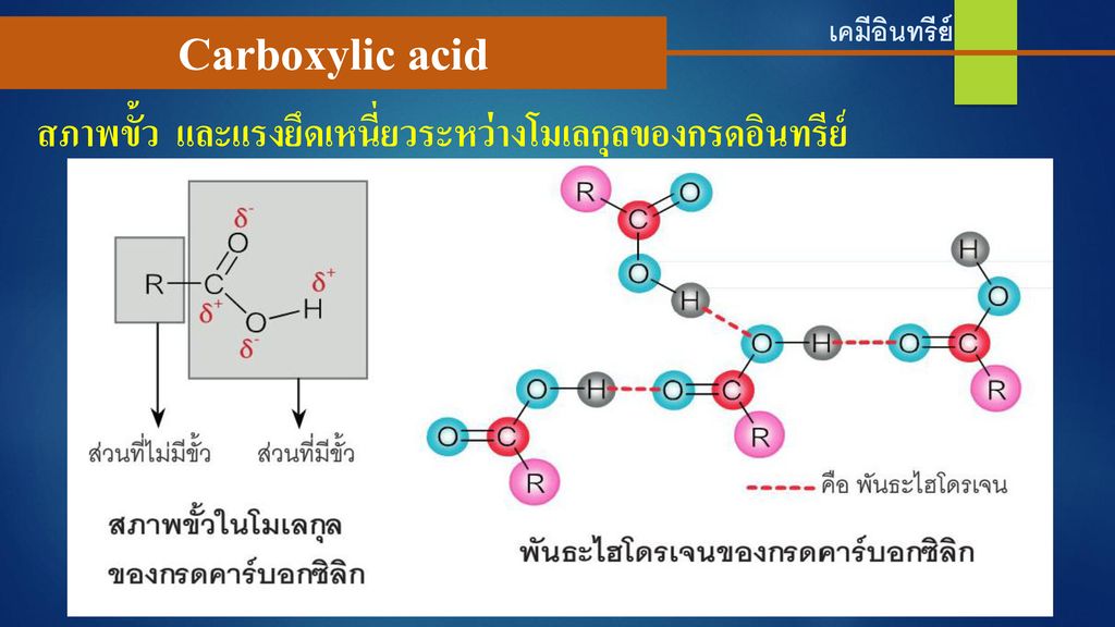 Carboxylic acid สภาพขั้ว และแรงยึดเหนี่ยวระหว่างโมเลกุลของกรดอินทรีย์