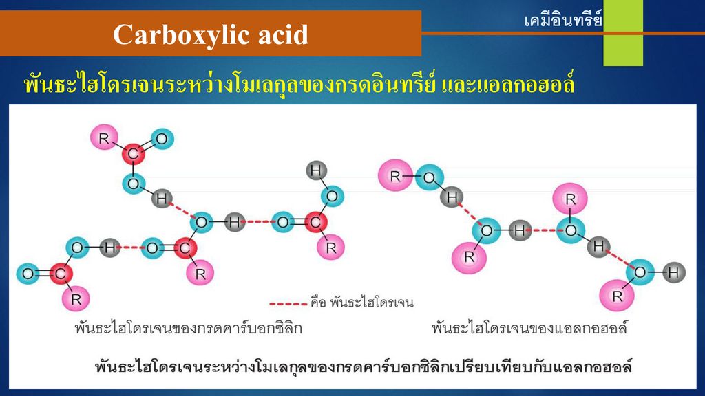 Carboxylic acid พันธะไฮโดรเจนระหว่างโมเลกุลของกรดอินทรีย์ และแอลกอฮอล์