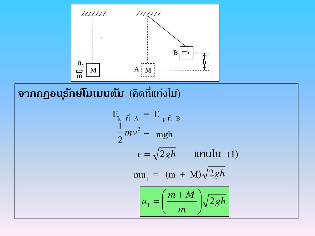 จากกฎอนุรักษ์โมเมนตัม (คิดที่แท่งไม้) Ek ที่ A = E p ที่ B = mgh แทนใน (1) mu1 = (m + M)