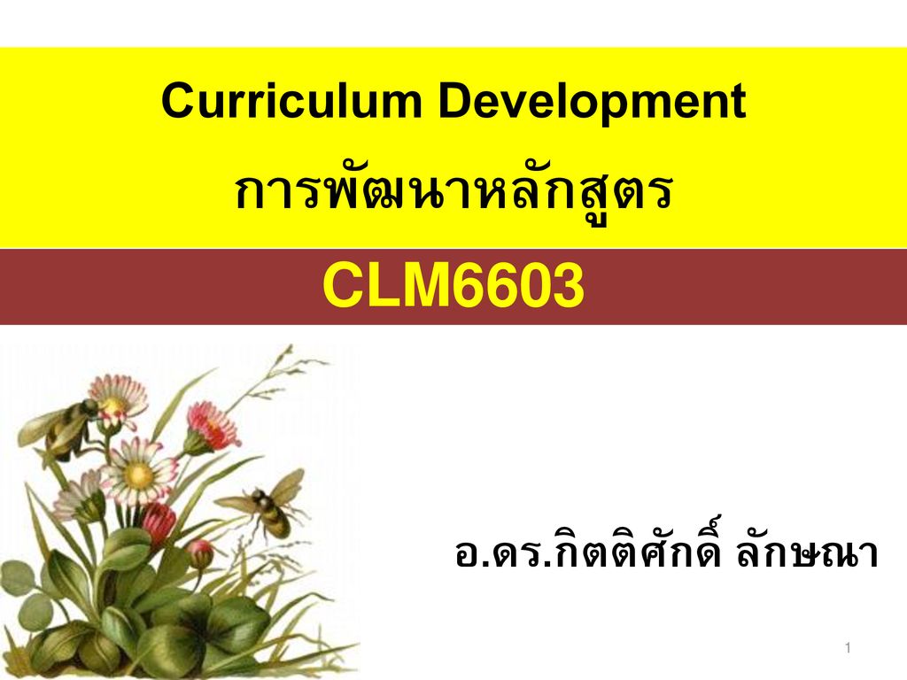 Curriculum Development การพัฒนาหลักสูตร
