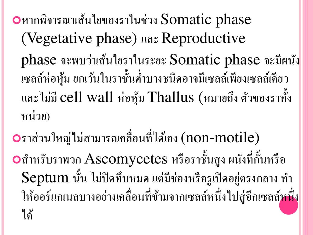 Fungi เห็ดรา. - ppt ดาวน์โหลด