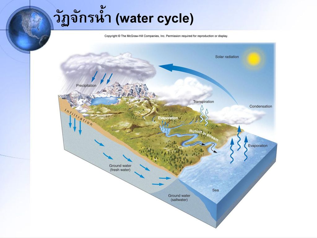 วัฏจักรน้ำ (water cycle)
