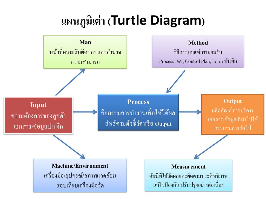 แผนภูมิเต่า (Turtle Diagram)