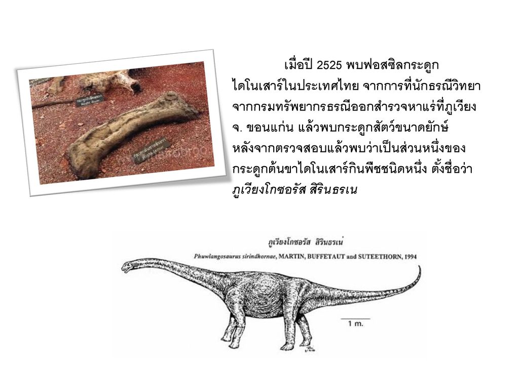 เมื่อปี 2525 พบฟอสซิลกระดูกไดโนเสาร์ในประเทศไทย จากการที่นักธรณีวิทยาจากกรมทรัพยากรธรณีออกสำรวจหาแร่ที่ภูเวียง จ. ขอนแก่น แล้วพบกระดูกสัตว์ขนาดยักษ์ หลังจากตรวจสอบแล้วพบว่าเป็นส่วนหนึ่งของกระดูกต้นขาไดโนเสาร์กินพืชชนิดหนึ่ง ตั้งชื่อว่า ภูเวียงโกซอรัส สิรินธรเน