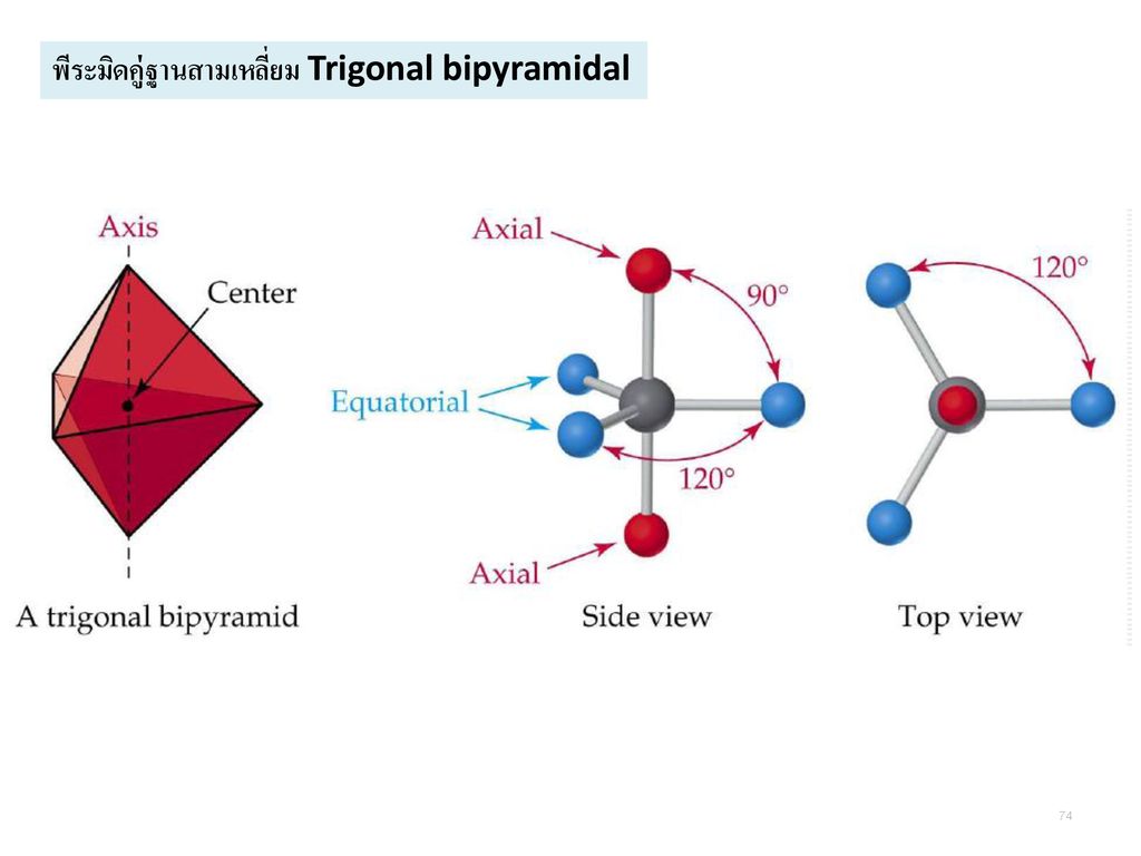 พีระมิดคู่ฐานสามเหลี่ยม Trigonal bipyramidal