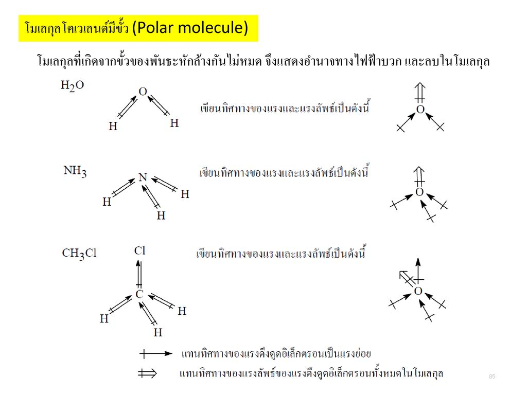 โมเลกุลโคเวเลนต์มีขั้ว (Polar molecule)
