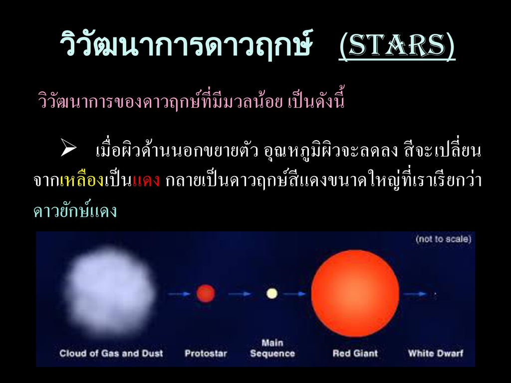 วิวัฒนาการดาวฤกษ์ (STARS)