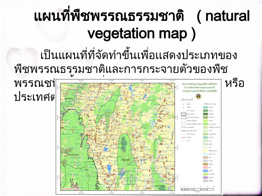 แผนที่พืชพรรณธรรมชาติ ( natural vegetation map )