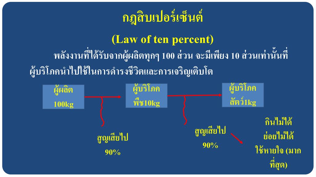 กฎสิบเปอร์เซ็นต์ (Law of ten percent)