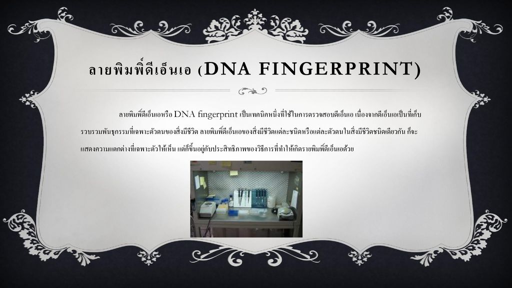ลายพิมพิ์ดีเอ็นเอ (DNA fingerprint)