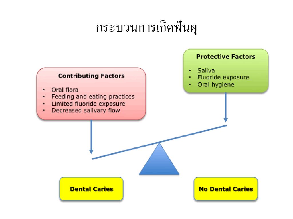 โรคฟันผุในเด็กปฐมวัย Ppt ดาวน์โหลด