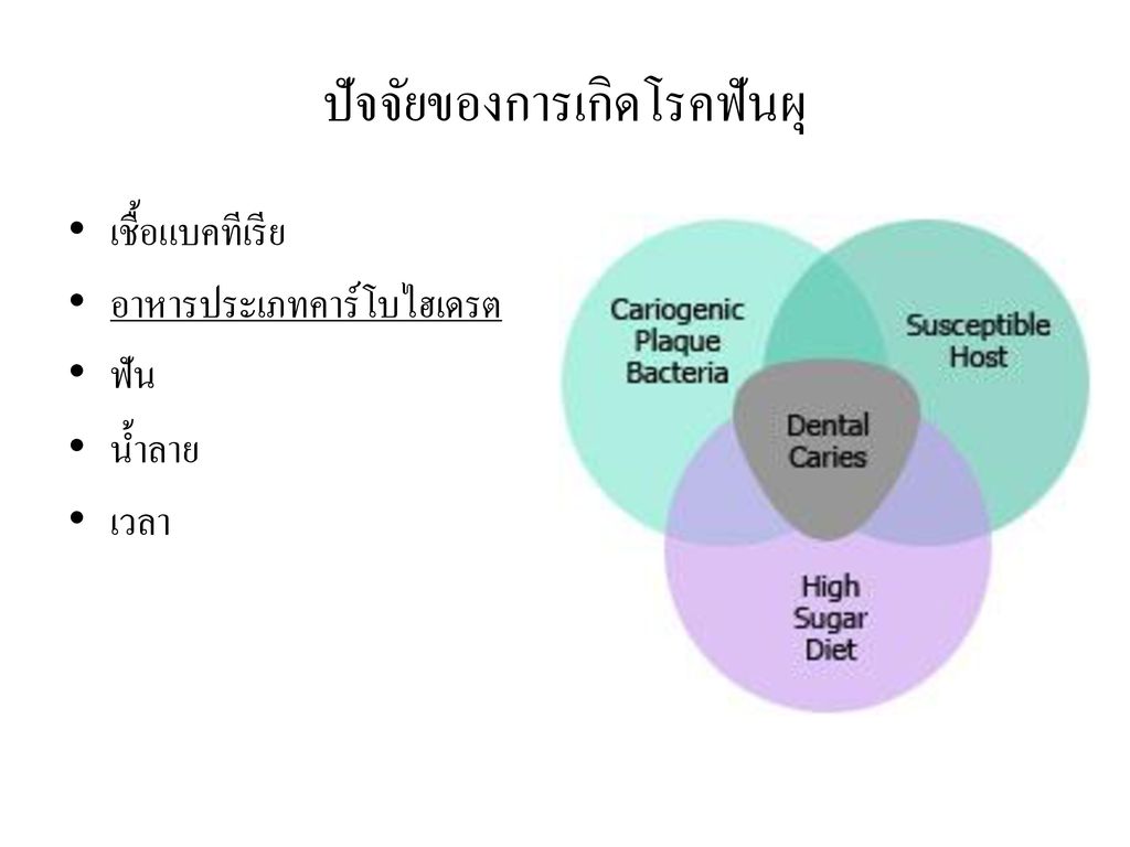 โรคฟันผุในเด็กปฐมวัย Ppt ดาวน์โหลด