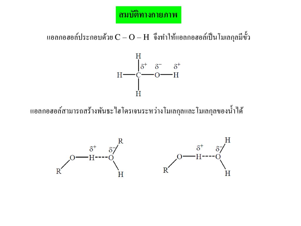 สมบัติทางกายภาพ แอลกอฮอล์ประกอบด้วย C – O – H จึงทำให้แอลกอฮอล์เป็นโมเลกุลมีขั้ว.