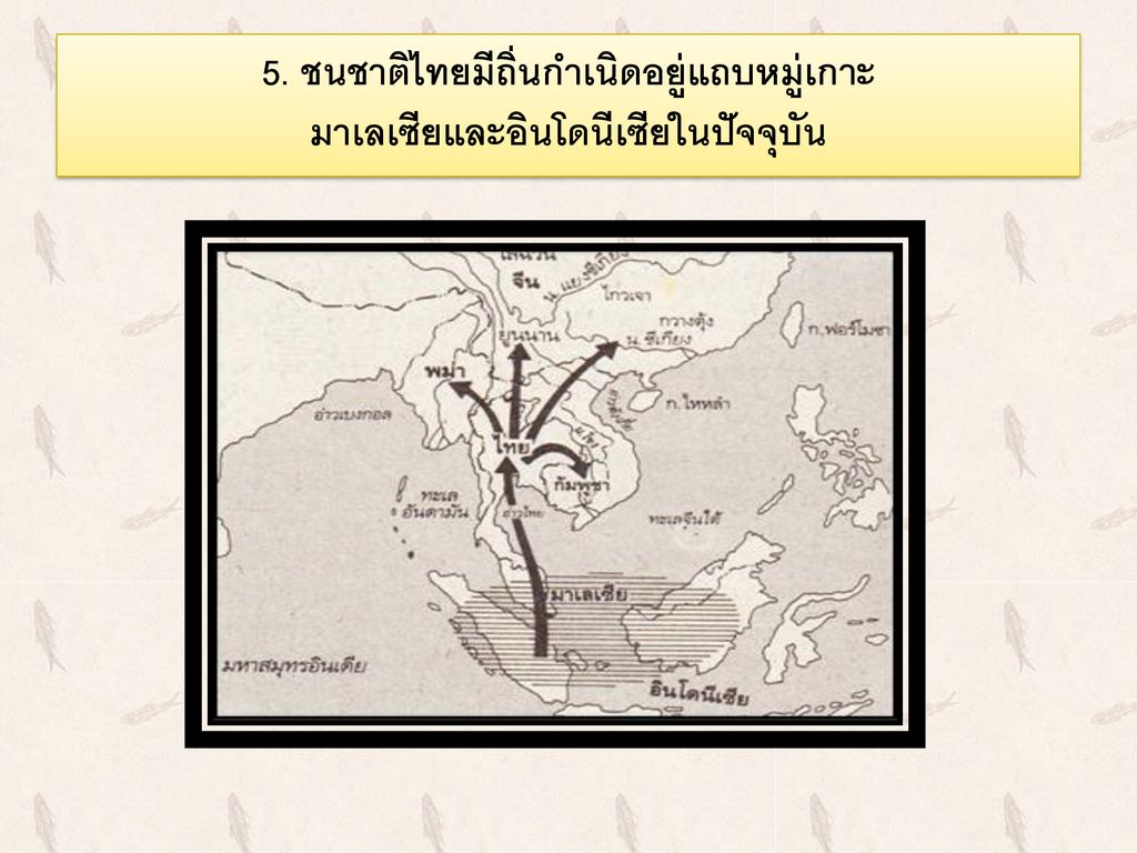 5. ชนชาติไทยมีถิ่นกำเนิดอยู่แถบหมู่เกาะ มาเลเซียและอินโดนีเซียในปัจจุบัน