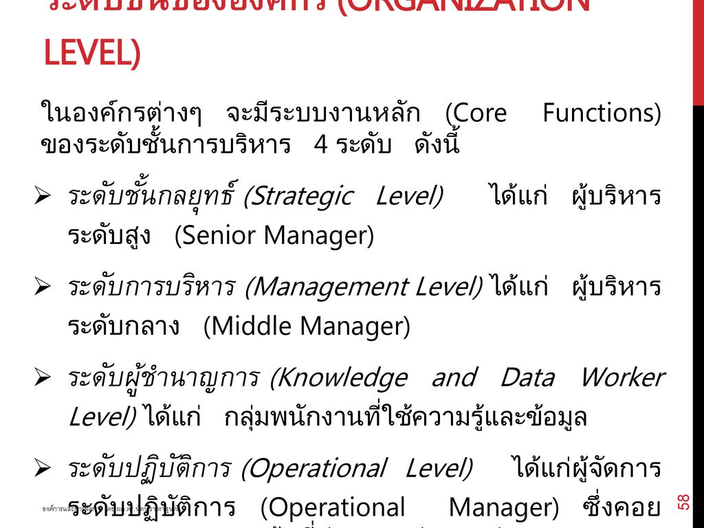 ระดับชั้นขององค์กร (Organization Level)