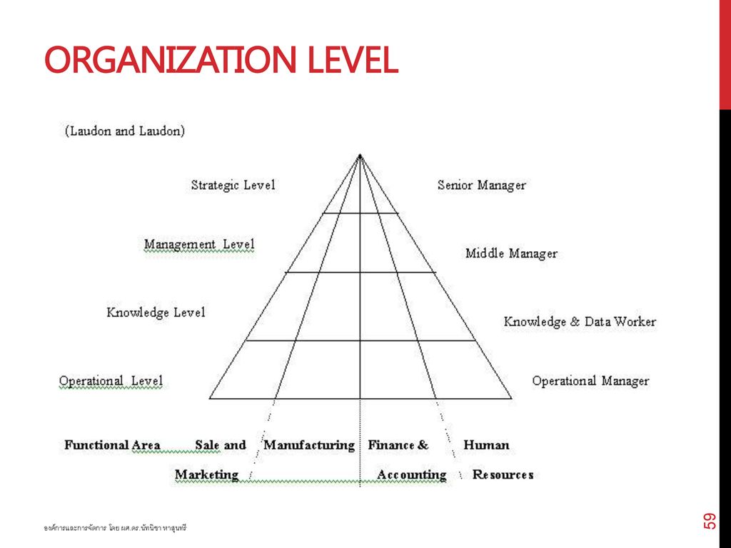 Organization Level องค์การและการจัดการ โดย ผศ.ดร.นัทนิชา หาสุนทรี