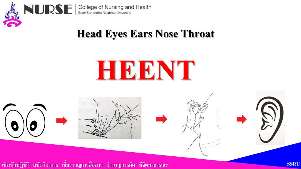 Head Eyes Ears Nose Throat