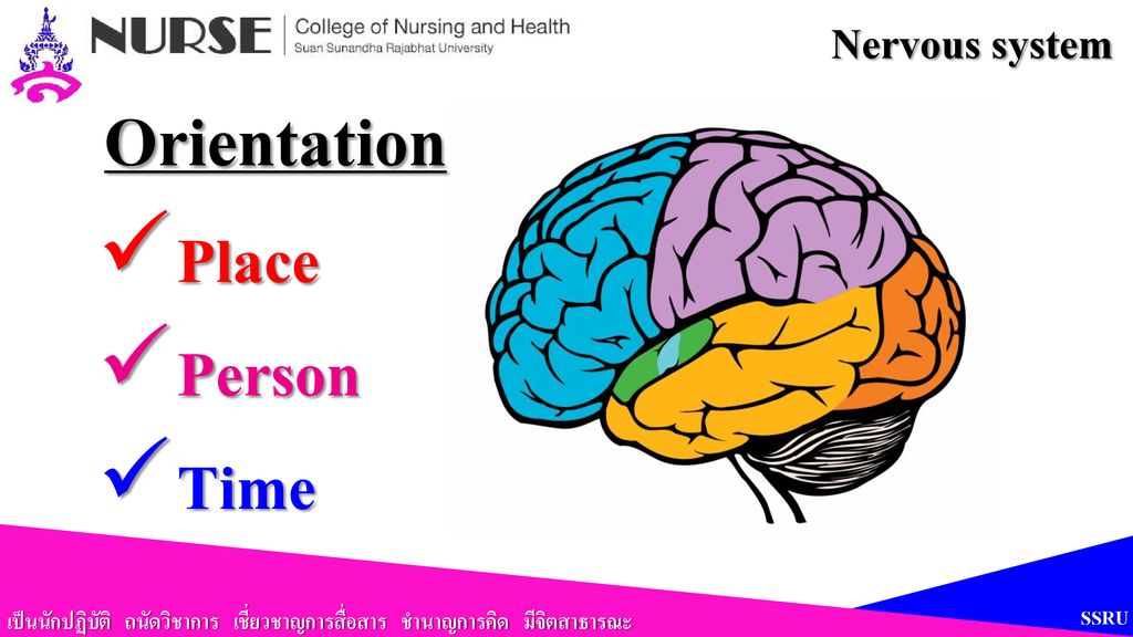 Orientation Place Person Time Nervous system SSRU
