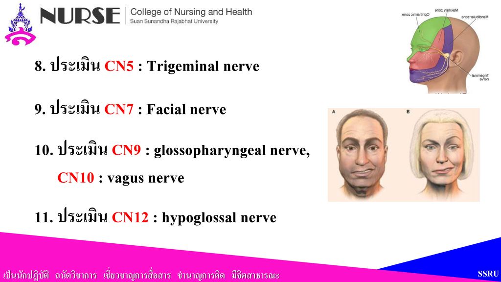 8. ประเมิน CN5 : Trigeminal nerve