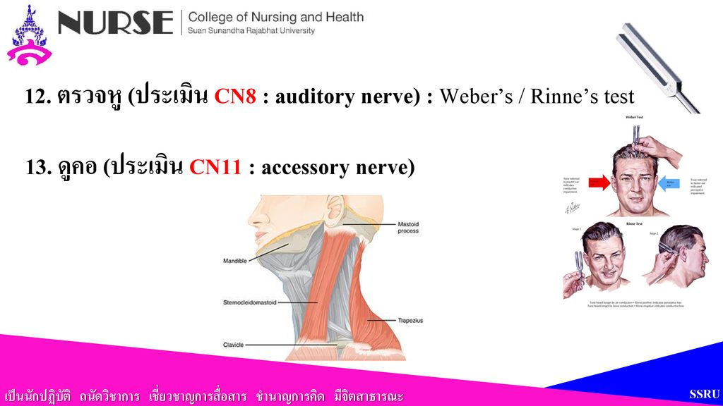12. ตรวจหู (ประเมิน CN8 : auditory nerve) : Weber’s / Rinne’s test