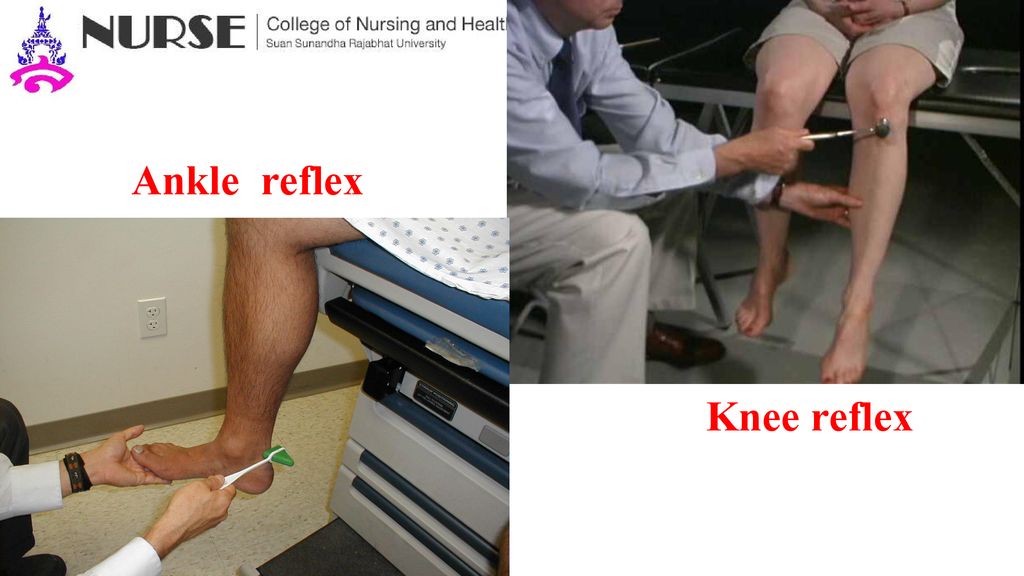Ankle reflex Knee reflex