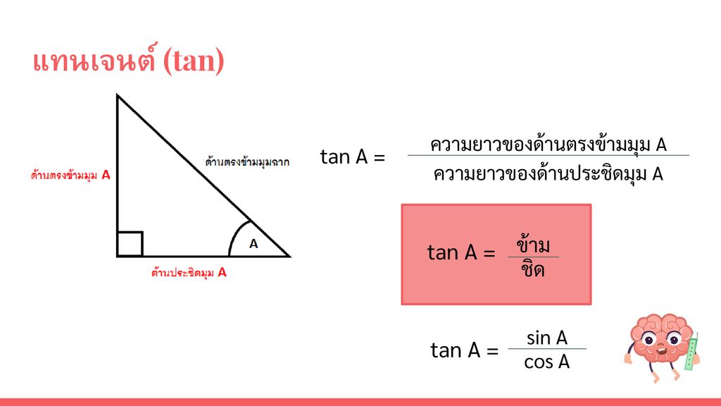 แทนเจนต์ (tan) tan A = tan A = tan A = ข้าม ชิด sin A cos A