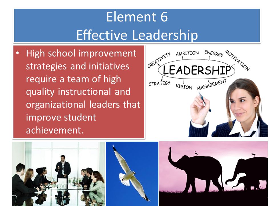 Element 6 Effective Leadership