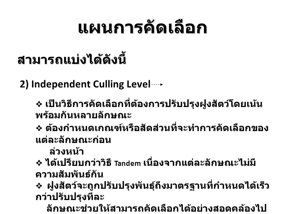 แผนการคัดเลือก สามารถแบ่งได้ดังนี้ 2) Independent Culling Level