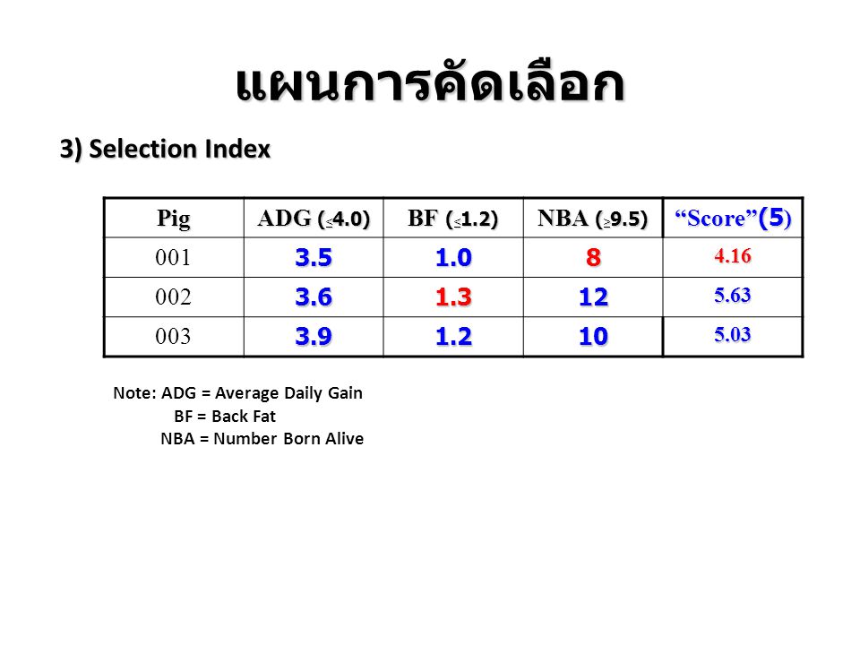 แผนการคัดเลือก 3) Selection Index Pig ADG (<4.0) BF (<1.2)