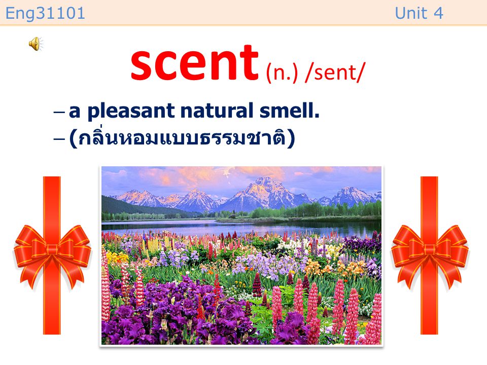 scent (n.) /sent/ a pleasant natural smell. (กลิ่นหอมแบบธรรมชาติ)