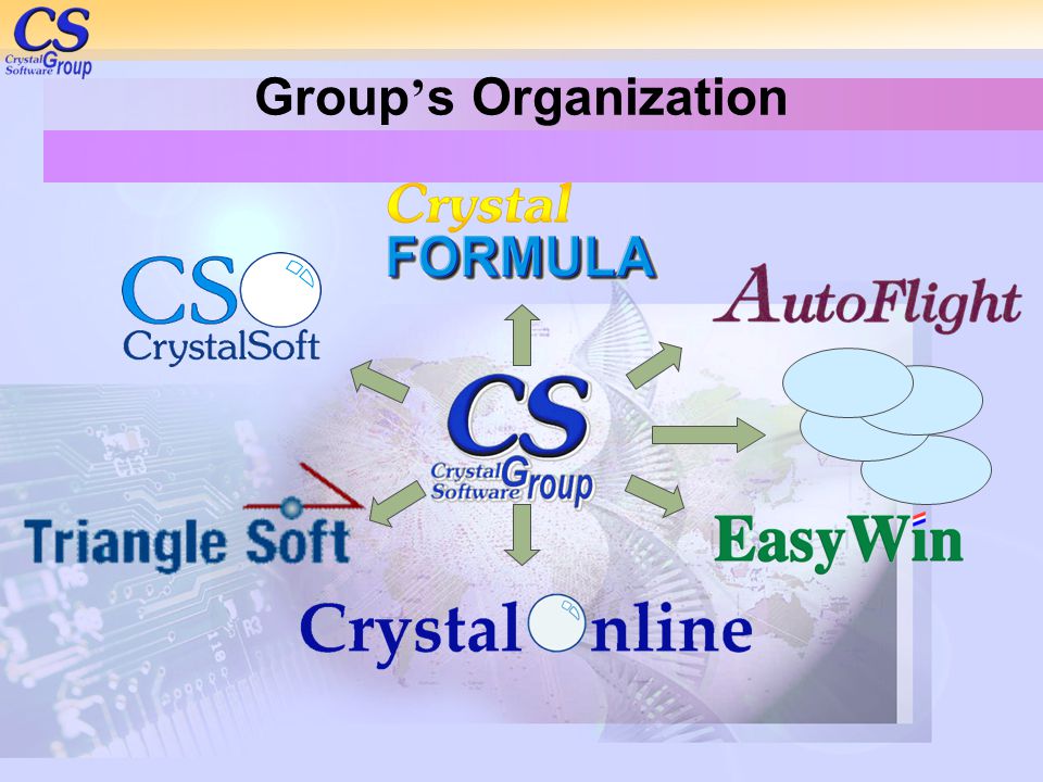 Group’s Organization